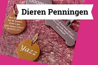 Dieren Penningen